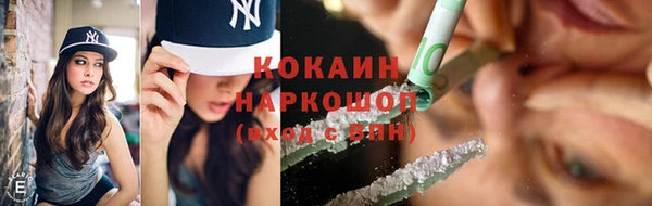 соль ск Арсеньев