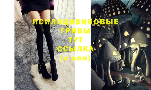 таблы Аркадак